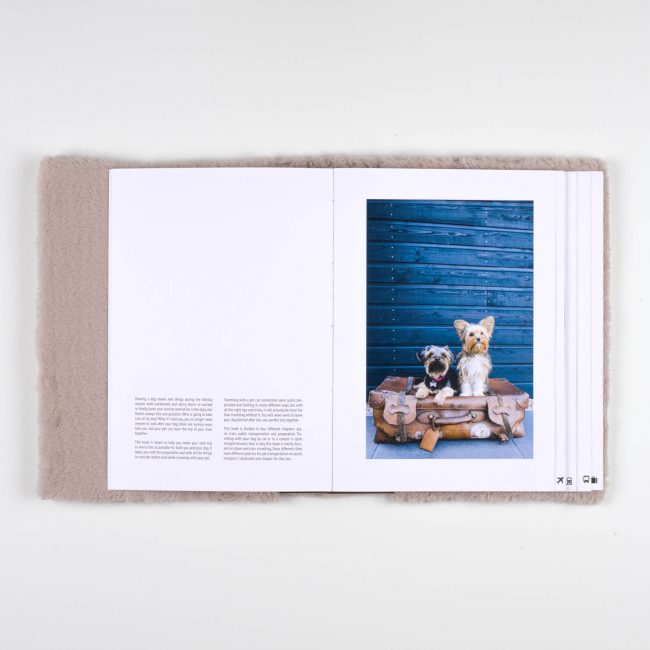 Design Project, Wanderlust: »Travel Dog«, Robine Gillen